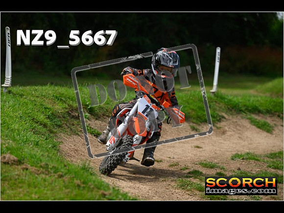 PeeWee Track-048
