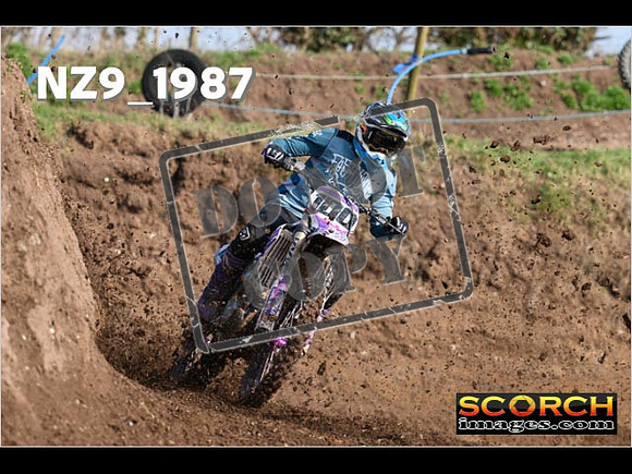 Experts-099