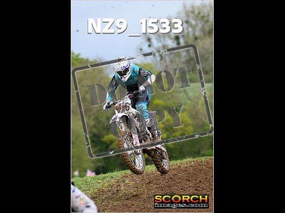 Novice-100