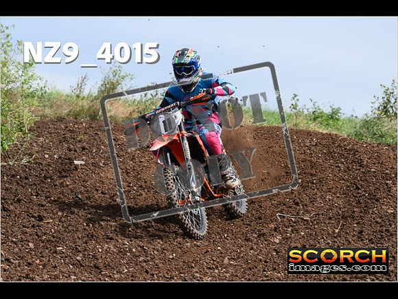 Experts-122