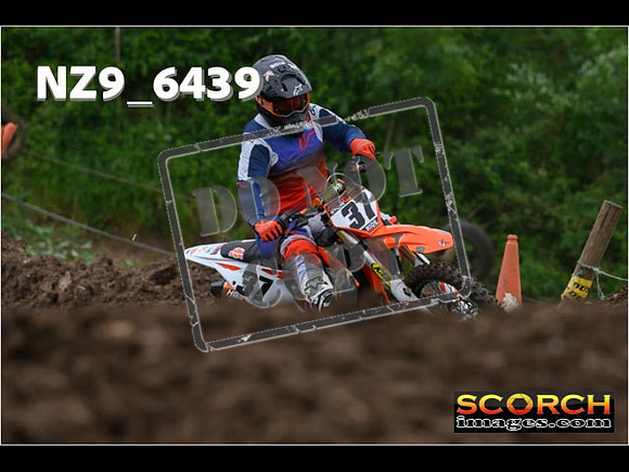 Experts-251
