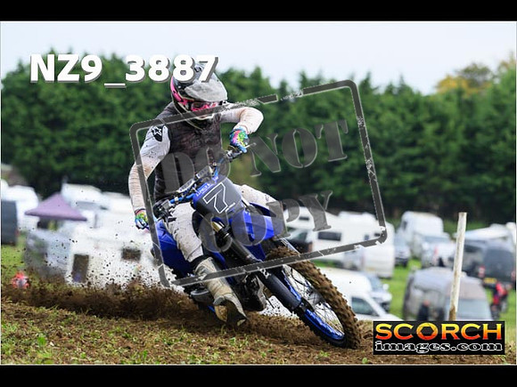Experts-077