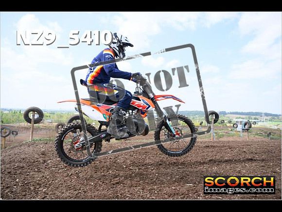 InterGreenOrange-262