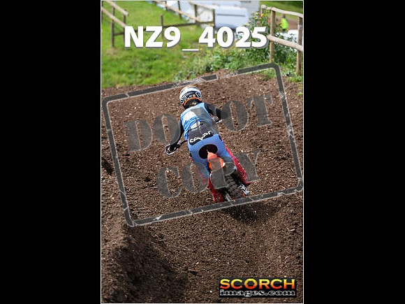 Experts-132