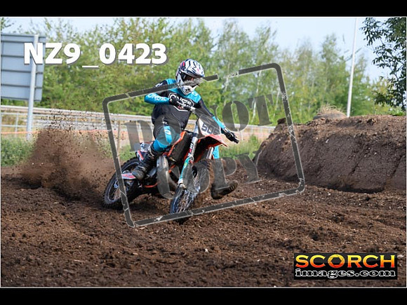 Experts-020