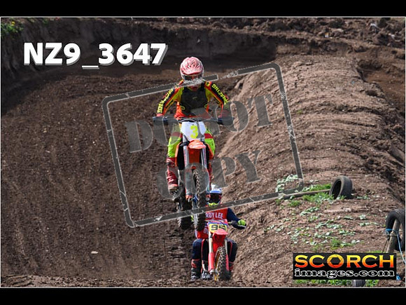 Experts-098
