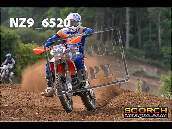 Experts-229