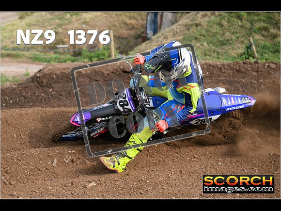 Experts-081