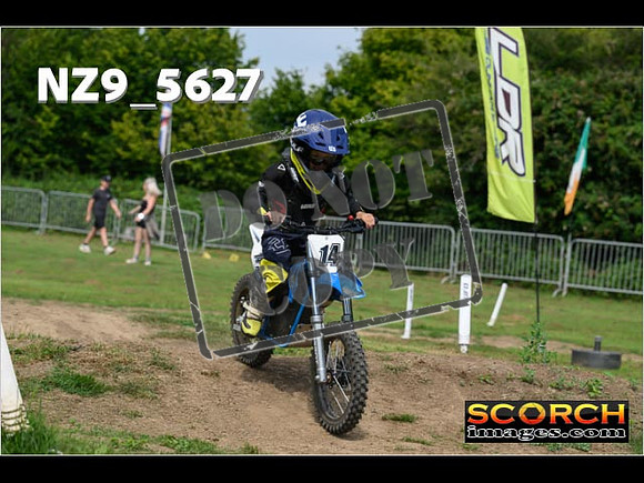 PeeWee Track-008