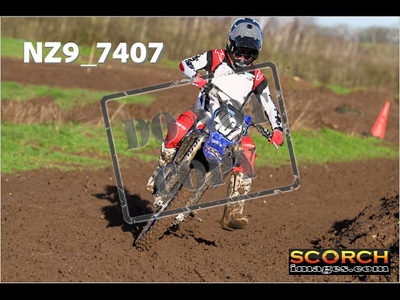 Experts-061
