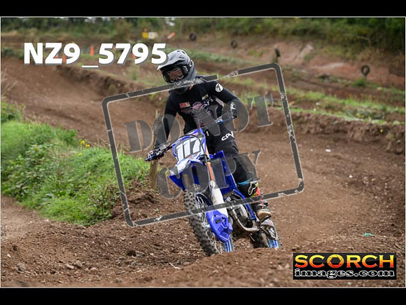 Experts-263
