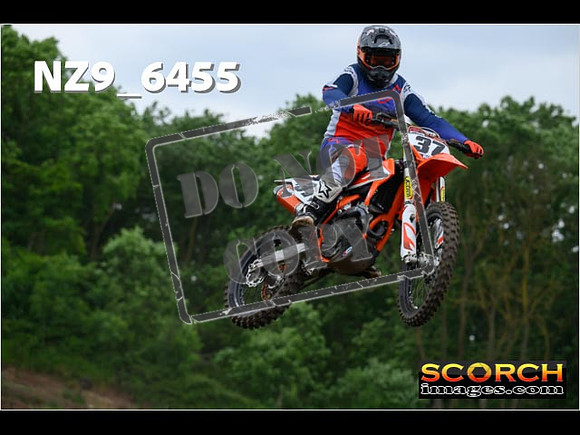 Experts-266