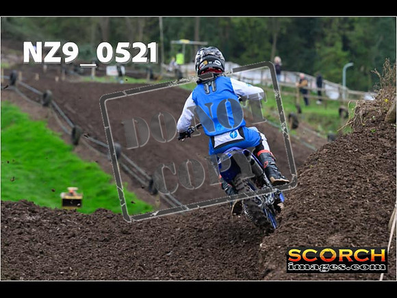 Experts-076