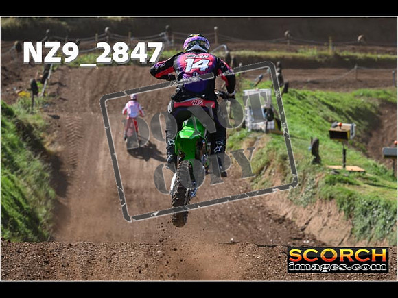 Experts-144