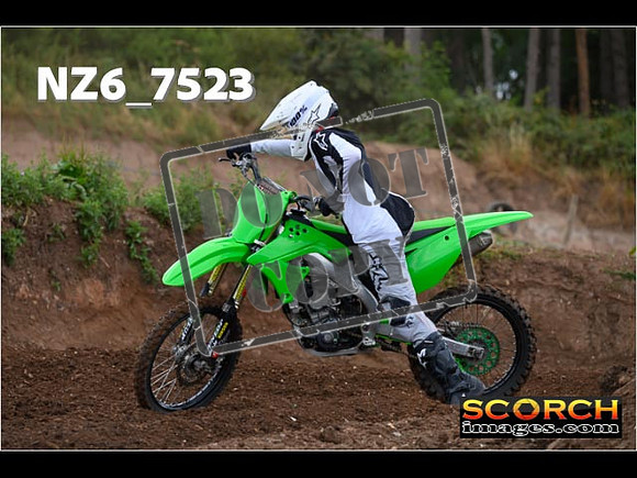 IntersGreen-069
