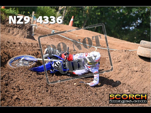 Experts-068