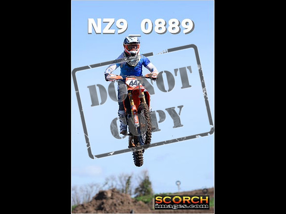 Experts-068
