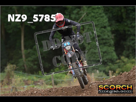 Experts-254