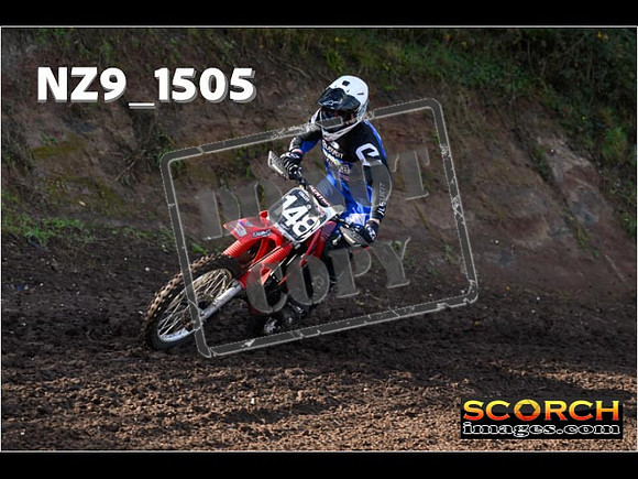 Experts-196