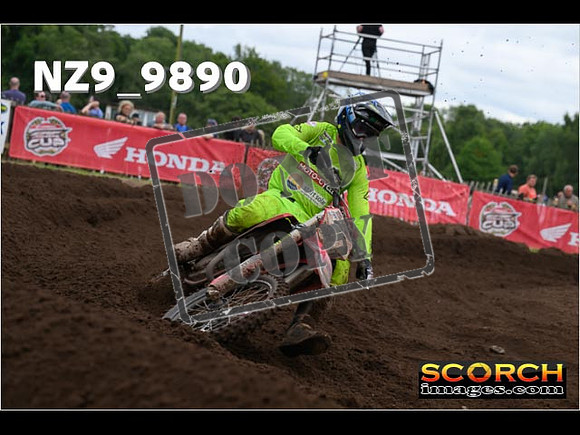 MX1-429