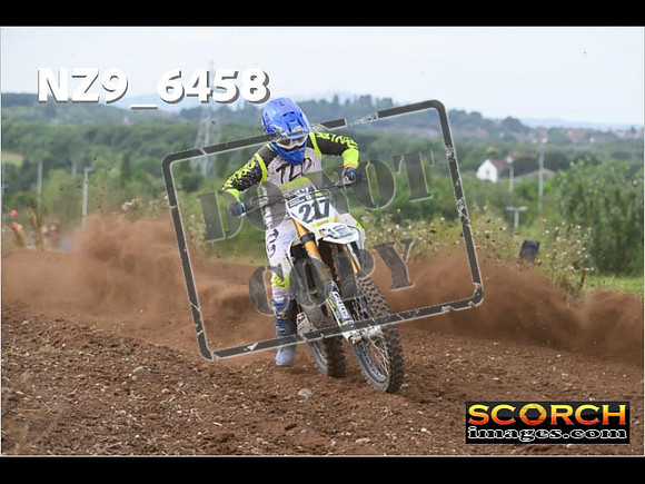 Experts-172
