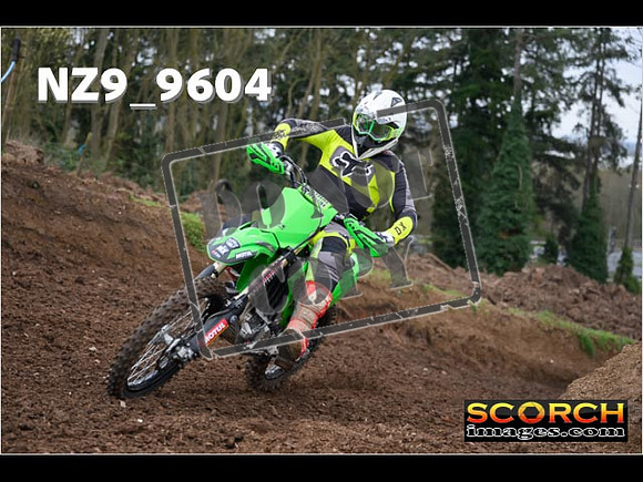 Experts-059