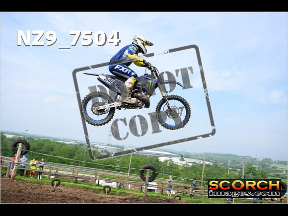 Experts-019