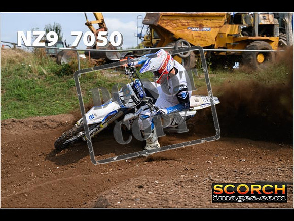 Experts-446