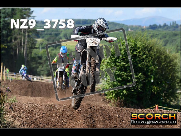 Experts-120