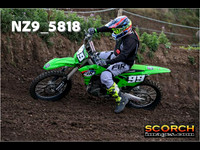 IntersGreen-010