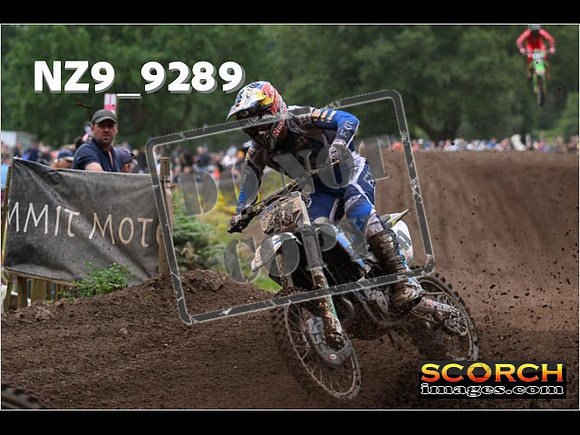 MX1-236
