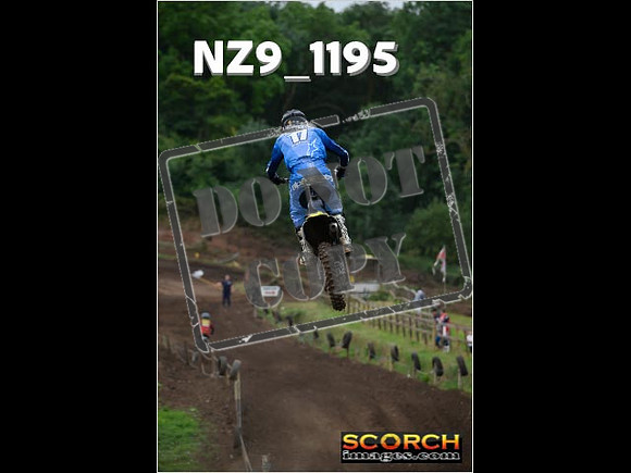 Experts-133