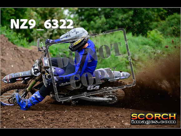 Experts-076