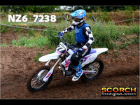 Experts-010