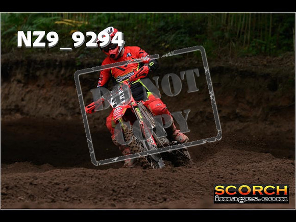 MX1-241
