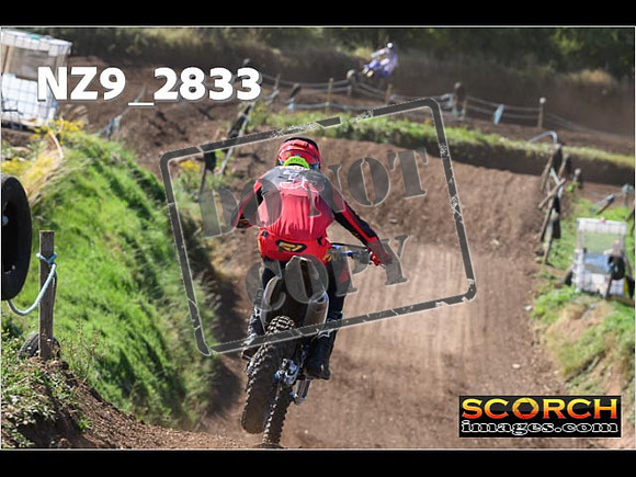 Experts-131