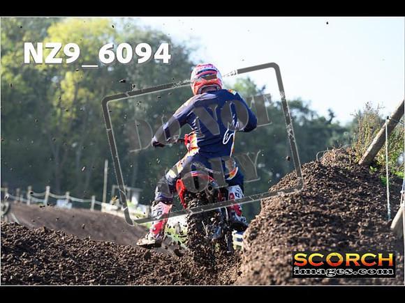 Experts-132