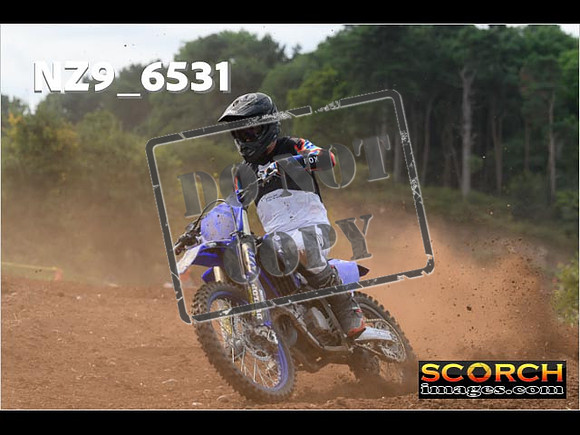 Experts-240