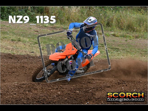 Experts-085