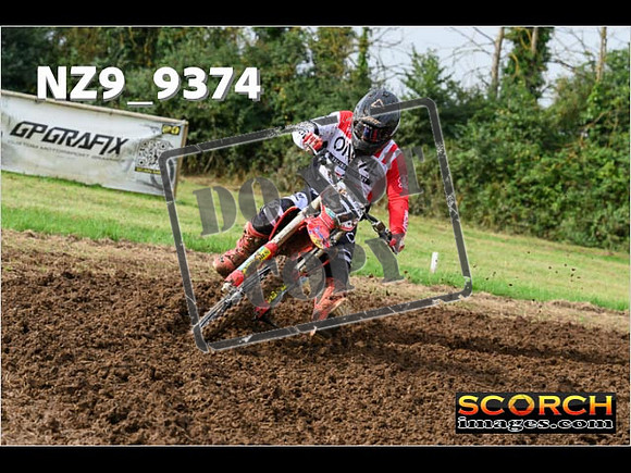 Experts-042