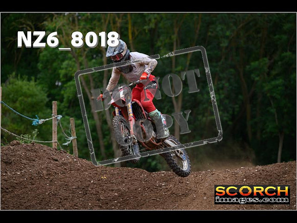 Experts-204