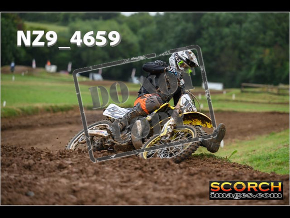 Experts-142
