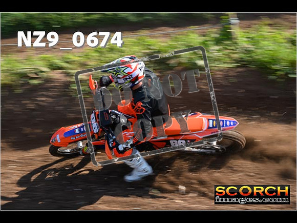 Experts-079