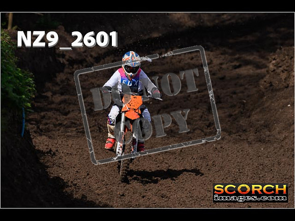 Experts-068