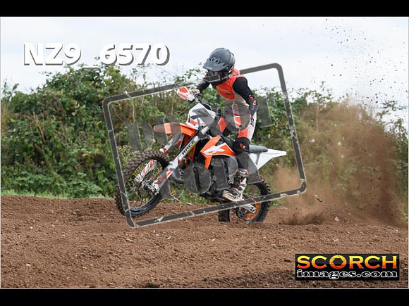 Experts-279