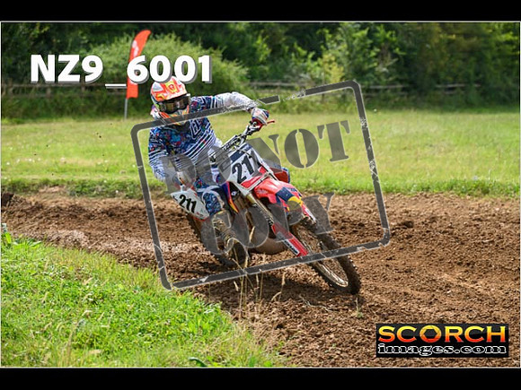 Experts-087