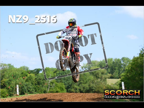 Experts-079