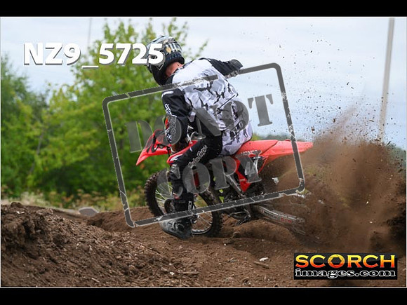 Experts-195