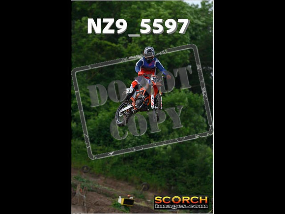 Experts-035