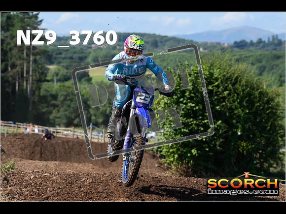 Experts-122